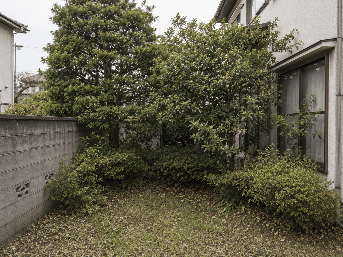 施工前：枝が伸びすぎた庭木